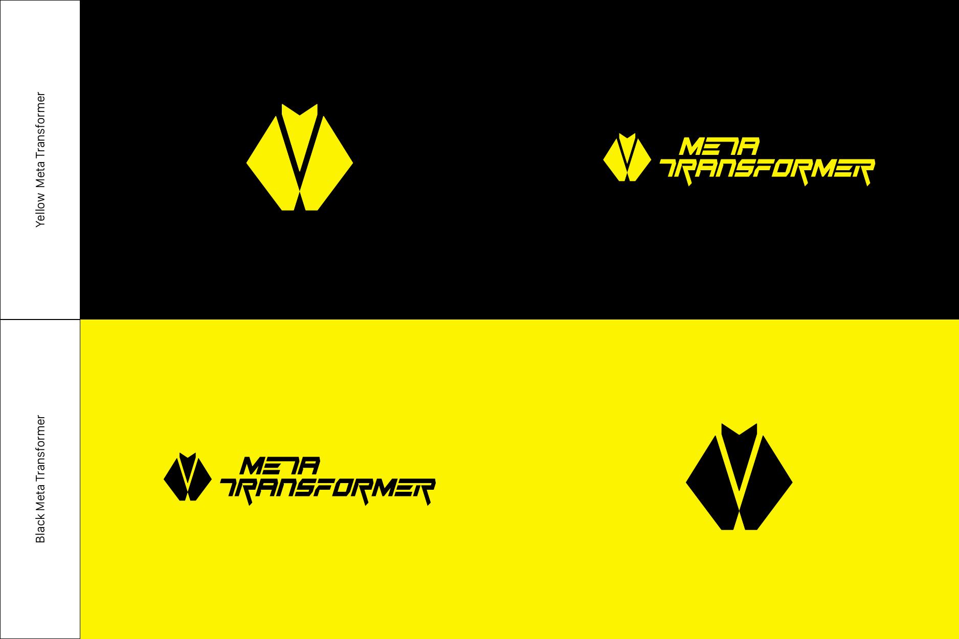 Meta Transformer — Brand Identity — Brand Identity / Guidelines